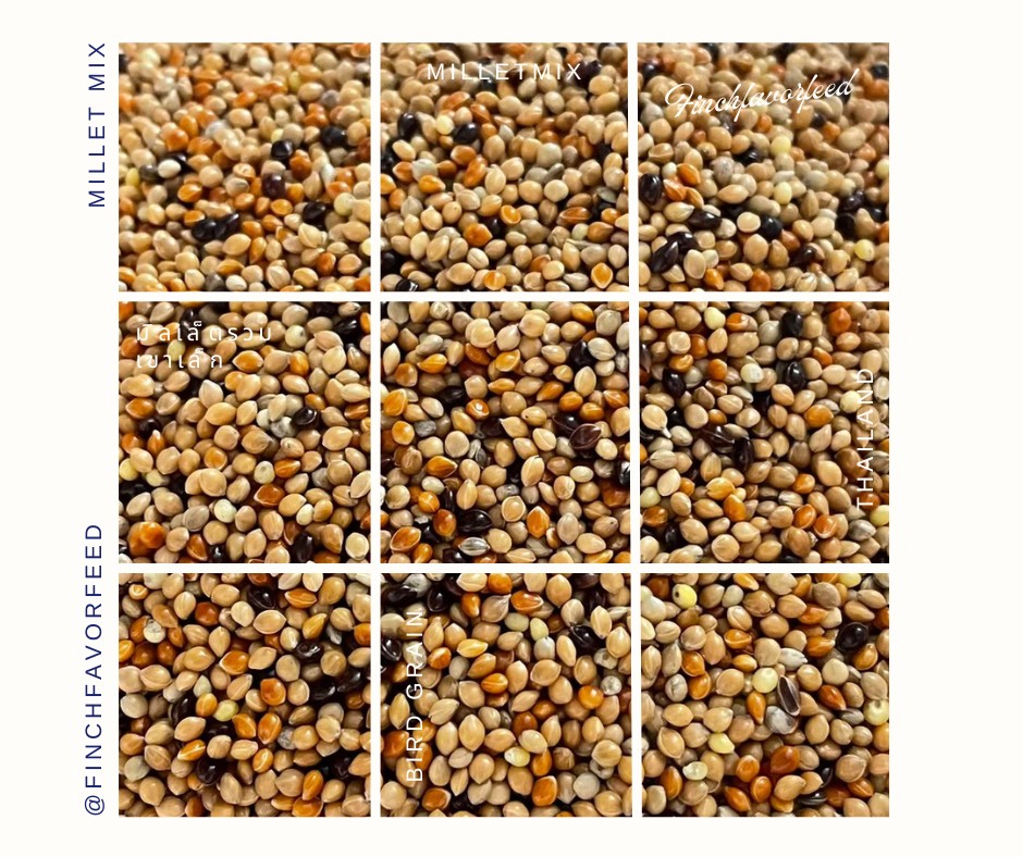 Grains mix