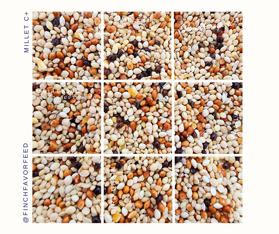 Grains mix