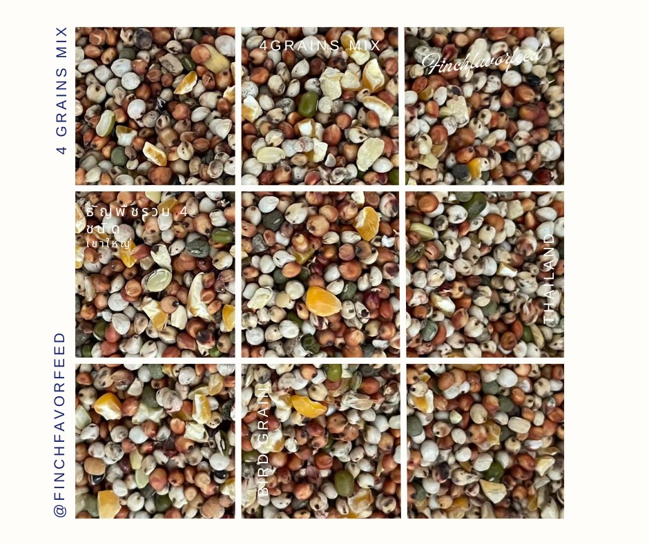 Grains mix