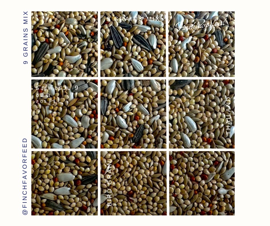 Grains mix